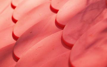 Fallin plastic roof costs